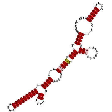 secondary structure