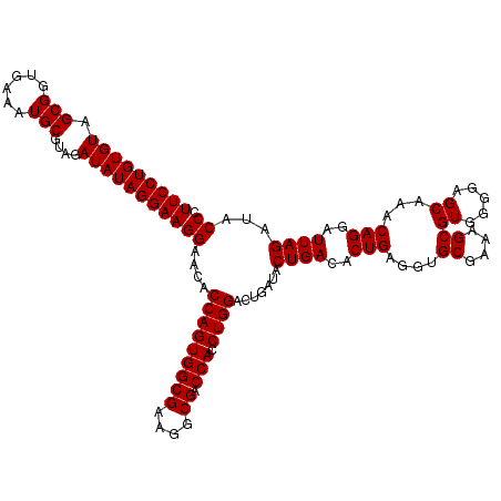 secondary structure