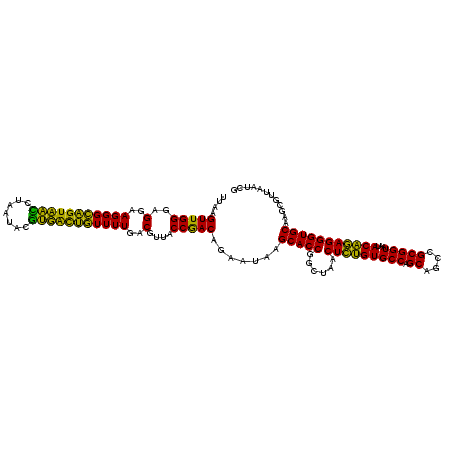 secondary structure