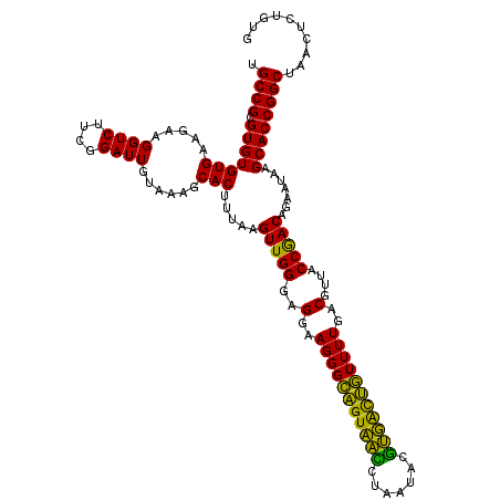 secondary structure