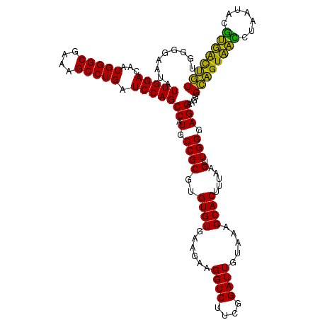 secondary structure
