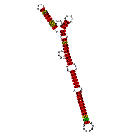 secondary structure