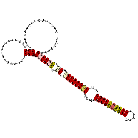 secondary structure