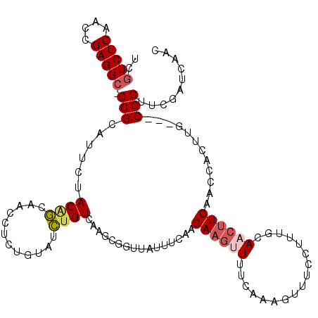 secondary structure