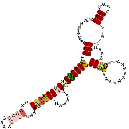 secondary structure