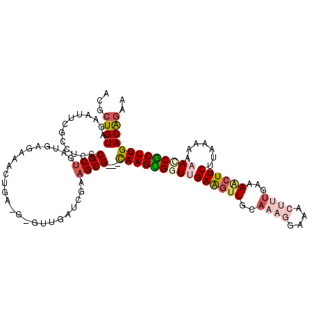 secondary structure