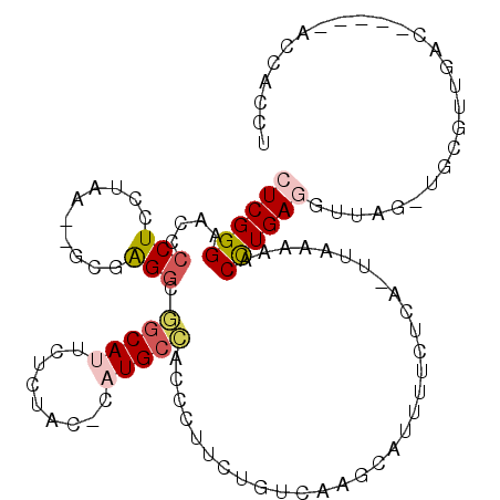 secondary structure