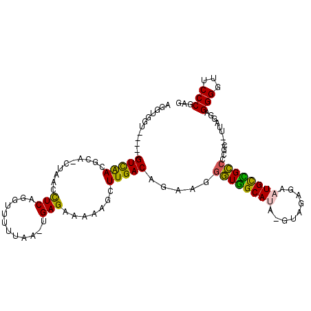 secondary structure