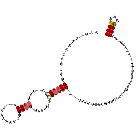 secondary structure