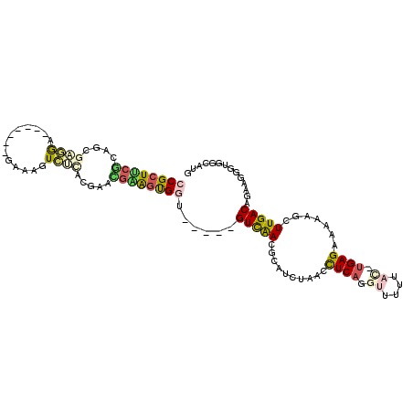 secondary structure