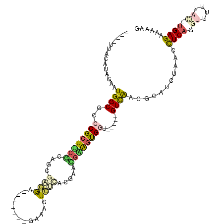 secondary structure