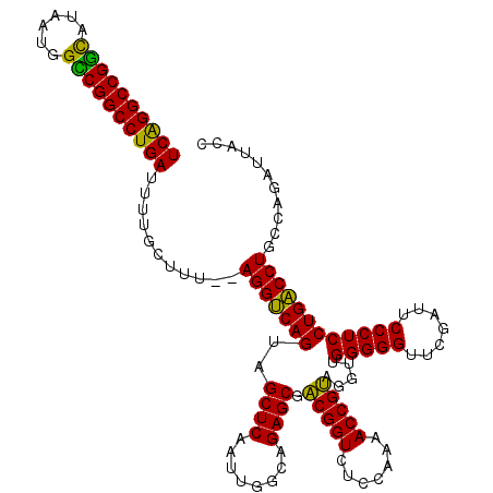 secondary structure
