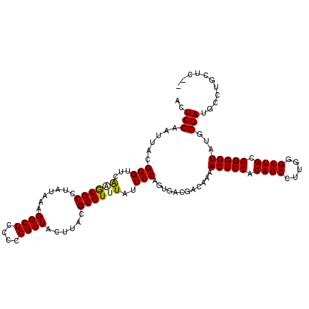 secondary structure