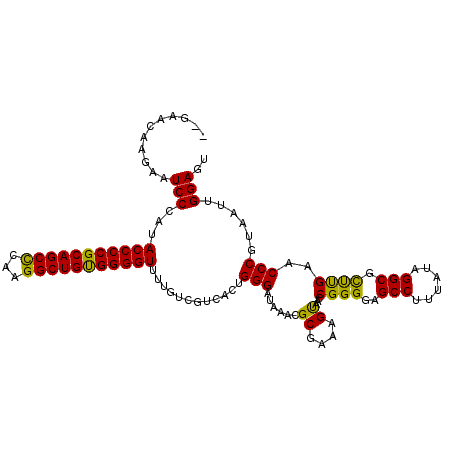 secondary structure