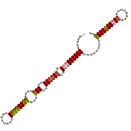 secondary structure