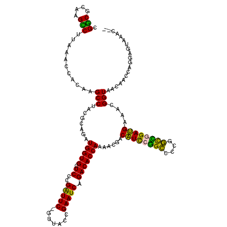 secondary structure