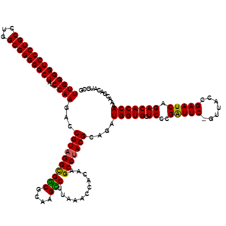 secondary structure