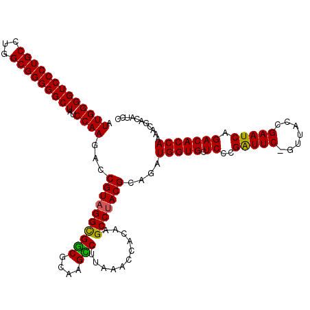 secondary structure