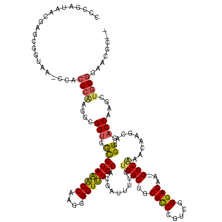secondary structure