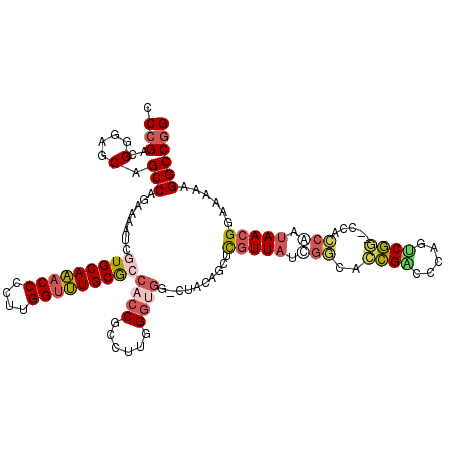 secondary structure