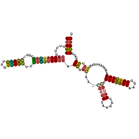 secondary structure