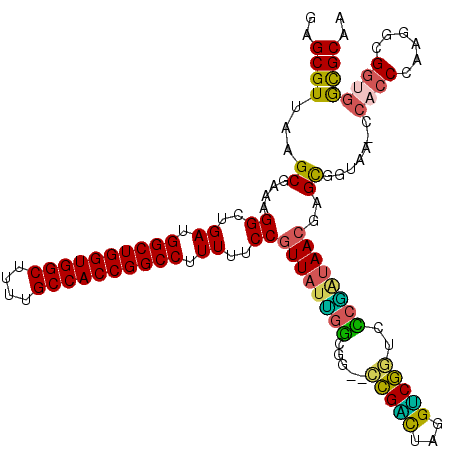secondary structure