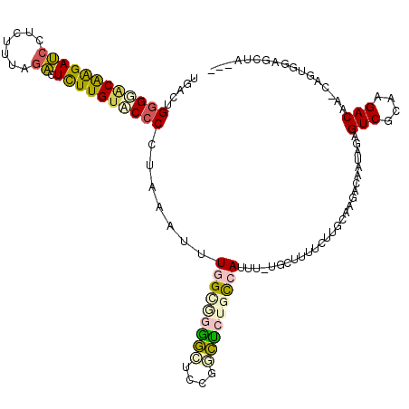 secondary structure