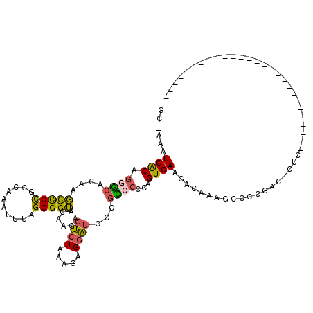 secondary structure
