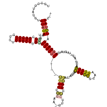 secondary structure