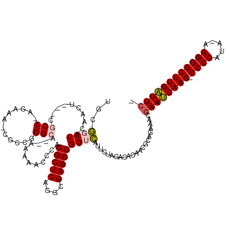 secondary structure