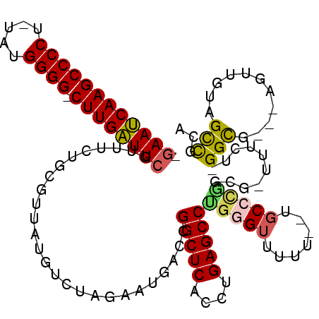 secondary structure