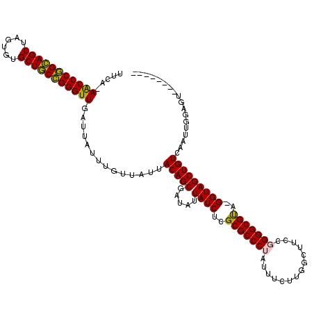 secondary structure
