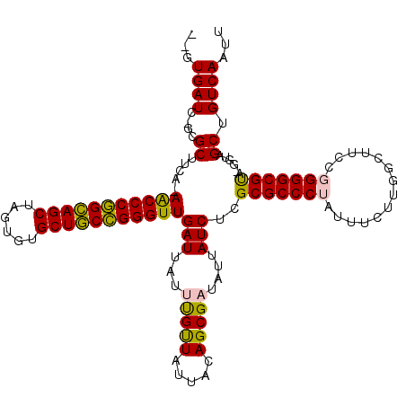 secondary structure