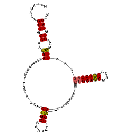 secondary structure