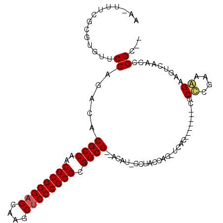 secondary structure