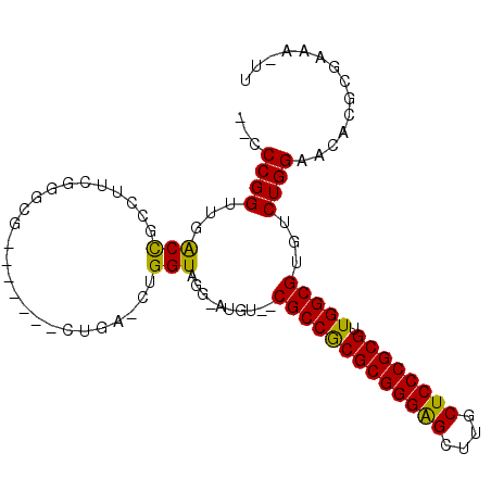 secondary structure