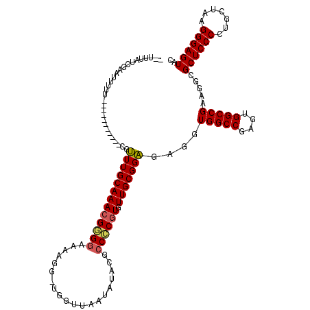 secondary structure