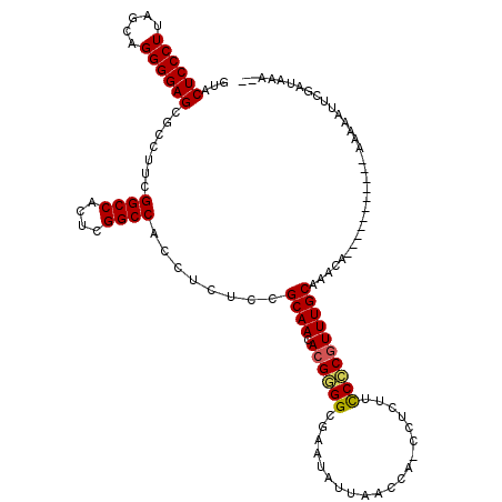 secondary structure