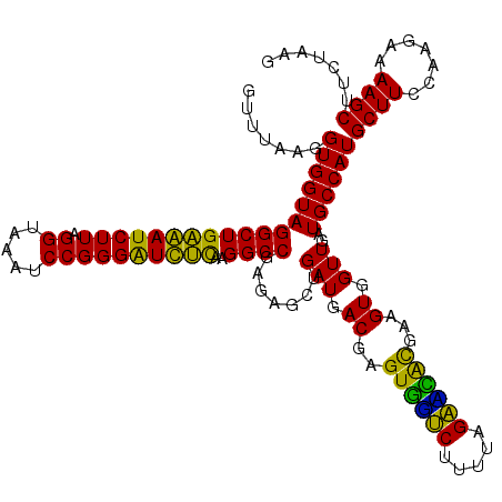 secondary structure