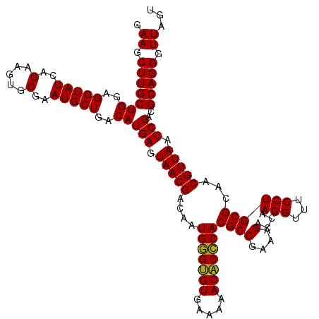 secondary structure