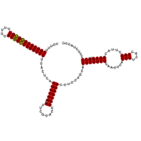 secondary structure