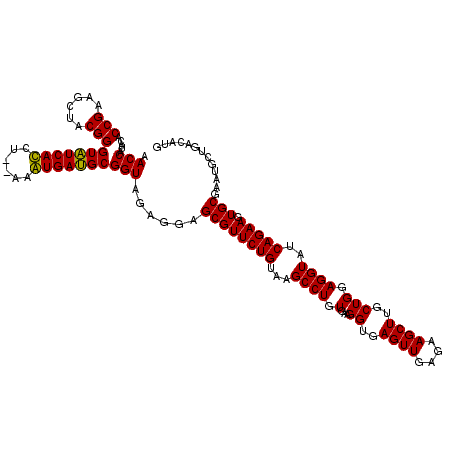 secondary structure