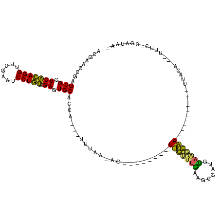 secondary structure