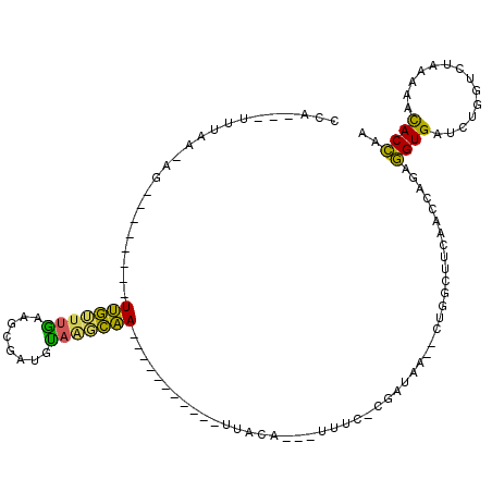 secondary structure