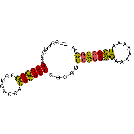secondary structure