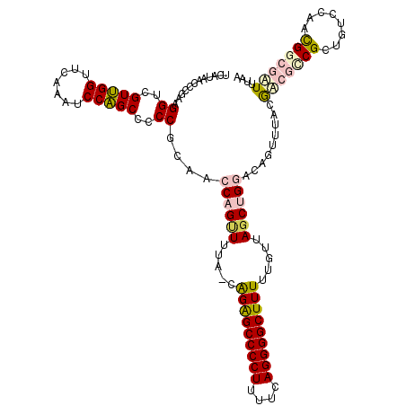 secondary structure