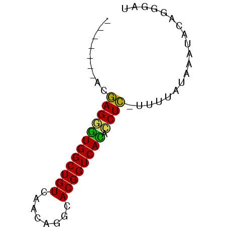 secondary structure