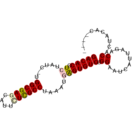 secondary structure