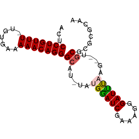 secondary structure