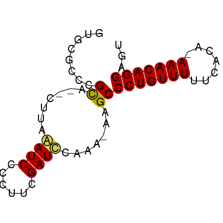 secondary structure